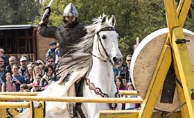 Württemberger Ritter auf weißem Pferd beim Speerwurf